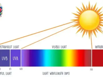 Tia tử ngoại: Khái niệm, tác hại và ứng dụng