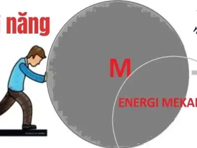 Chuyên đề cơ năng: Hệ thống kiến thức và bài tập ứng dụng
