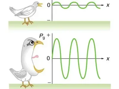Độ to của âm là gì? Phân loại và cách đo độ to của âm