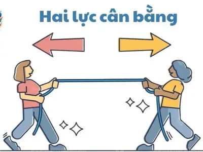 Hai lực cân bằng là gì? Định nghĩa và đặc điểm chi tiết