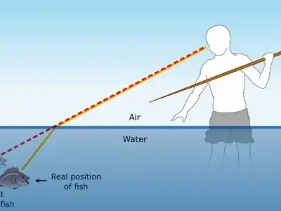 Khúc xạ ánh sáng: Giải thích chi tiết và ví dụ minh họa