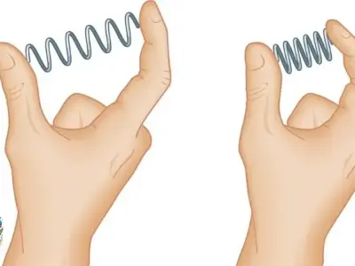 Lực đàn hồi: Bí mật về lực tác dụng khi vật bị biến dạng