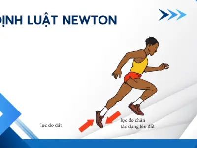 Định luật Newton- Nguyên lý vàng nền tảng của chuyển động