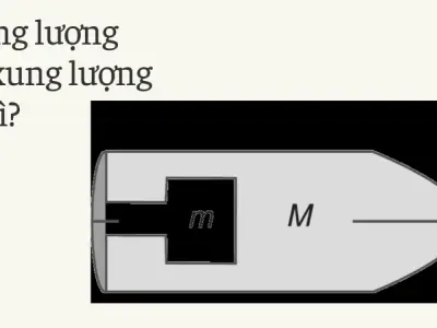 Động lượng và xung lượng- Bản chất và ứng dụng thực tế