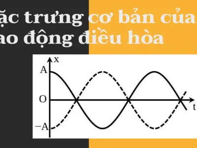 Hướng dẫn chi tiết các bài tập liên quan đến dao động điều hòa