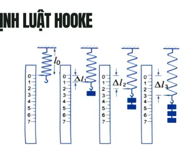 Định luật Hooke và bí mật của lực đàn hồi trong vật lý