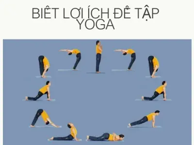 Tập yoga có tác dụng gì- Sự thật về sức khỏe dẻo dai