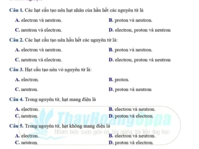 Các hạt cấu tạo nên hạt nhân của hầu hết các nguyên tử là gì?