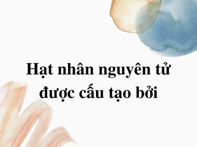 Các hạt cấu tạo nên hạt nhân nguyên tử là gì và vai trò của chúng