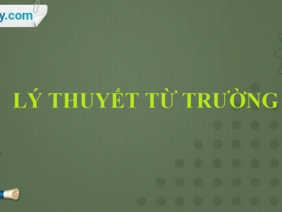 Các Vật Liệu Từ Khi Đặt Trong Từ Trường Sẽ Như Thế Nào?