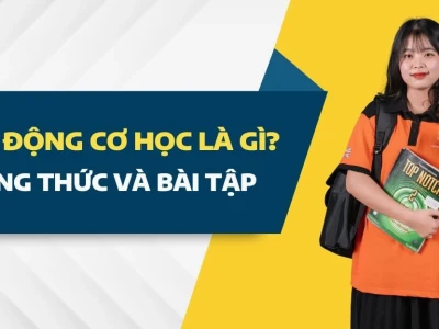 Dao động cơ học là gì? Khám phá bản chất và các dạng phổ biến
