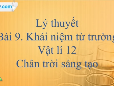 Khám phá hình ảnh từ trường: Cấu tạo và ứng dụng thực tế