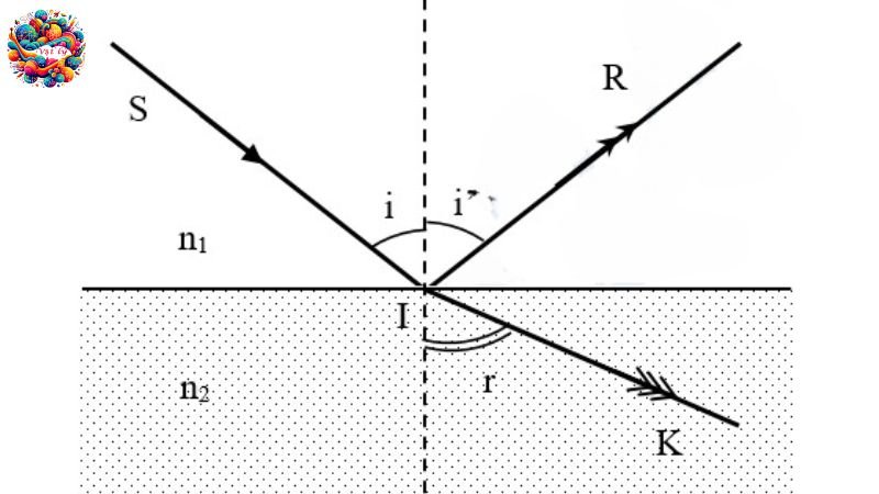 Phản xạ một phần