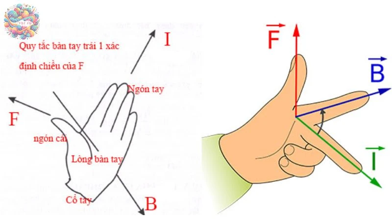 lực từ - 3